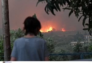 Wildfire Smoke Linked to Higher Cancer Risk