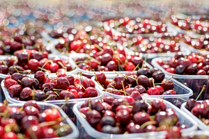 Cherries Remain a Luxury for Greek Consumers
