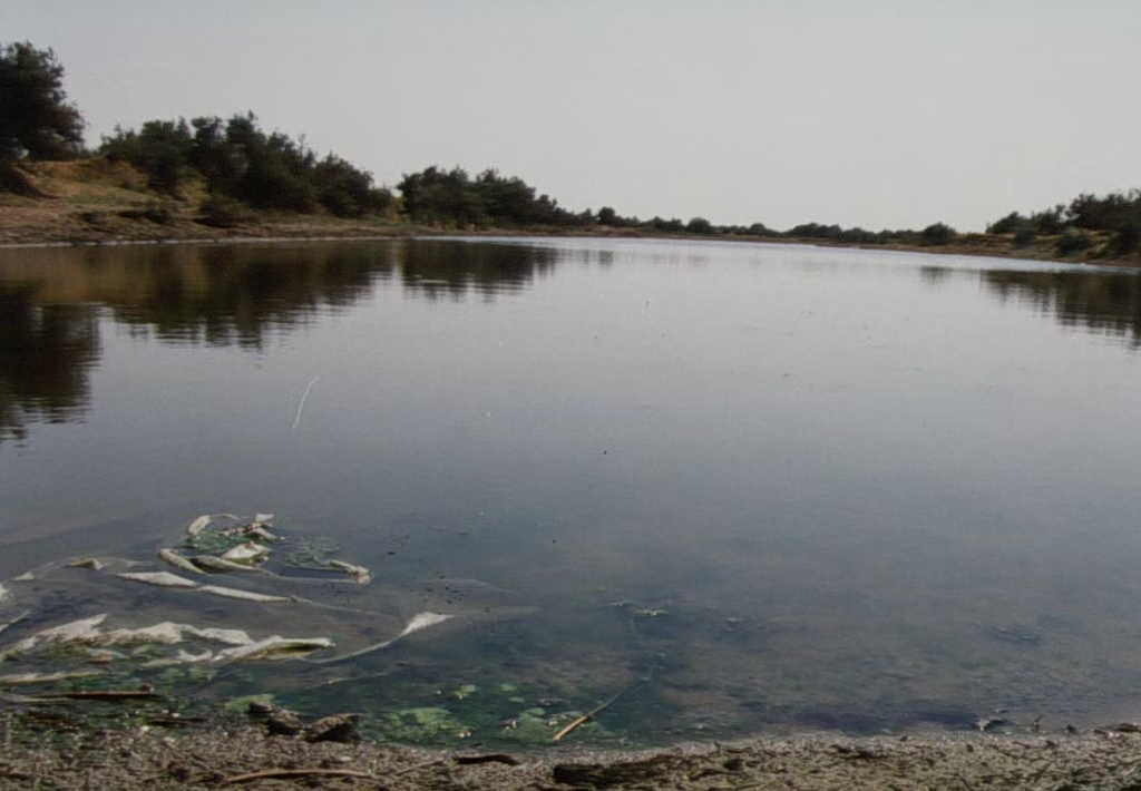 Murder Mystery Unfolds in Northern Greece After Chilling Tip-Off