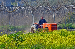 Worker Killed After Tractor Plunges Into Ravine