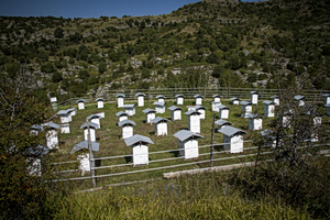 Greece Cancels Organic Farming Subsidies After Fraud Exposed