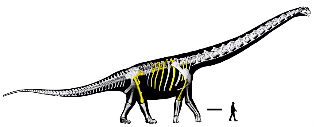 Meet Nagatitan: The Largest Known Dinosaur of Southeast Asia