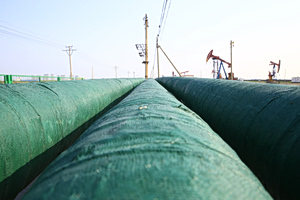 IEA Chief: Global Oil Reserves Could Run Out in Weeks