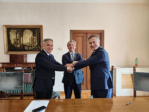 Europe’s Table Olive Sector Launches New Federation