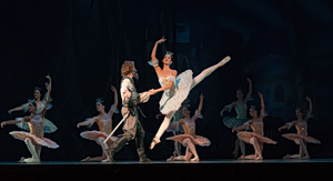 Grand Gala Ballet Show For One Night Only In Pallas Theatre
