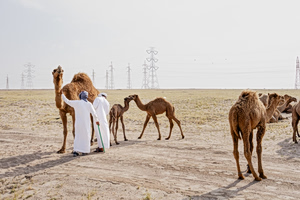 Inside the Tiny Oil Sheikhdom Cut Off by the Iran War