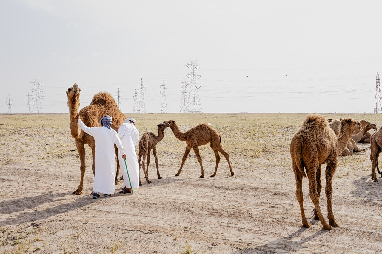 Inside the Tiny Oil Sheikhdom Cut Off by the Iran War
