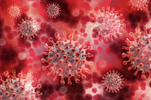 STI Surge in Europe: ECDC Warns of Gonorrhea and Syphilis Spike