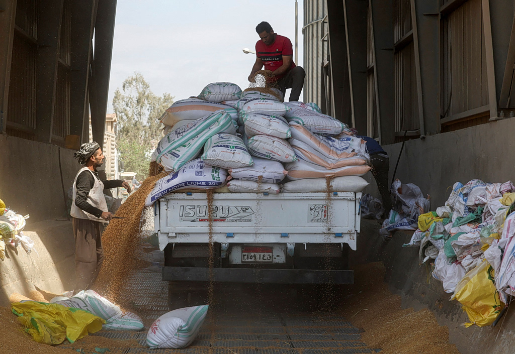 Egypt Unveils Ambition to Become Global Grain Hub