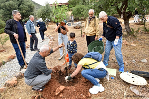 Festival of Inclusion Brings Art, Sport and Community to Fokida