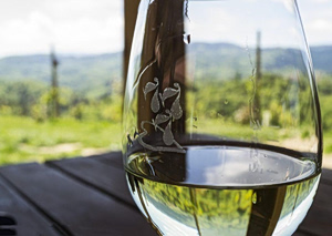 Greece’s Wineries Open Their Doors Celebrating Wine Tourism