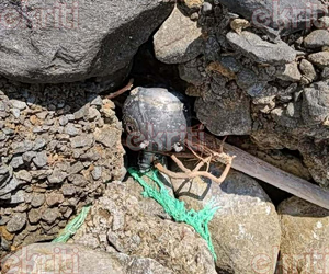 Suspected Ukrainian Naval Mine Found Off Crete Coast