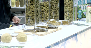 Athens Cannabis Expo Combines Education With Festival Culture