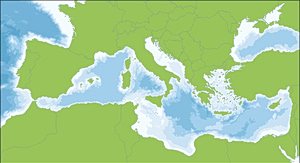 The Mediterranean, the Bahr al-Rumi, and Ahistorical Revisionism