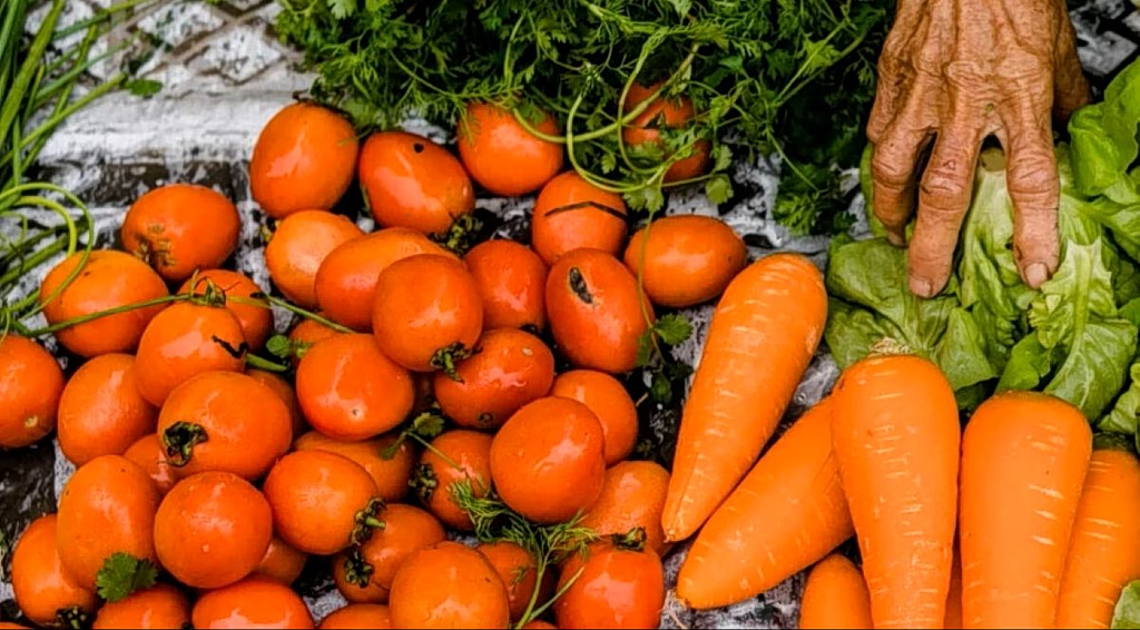 WHO Report Warns of Mounting Global Toll from Unsafe Food