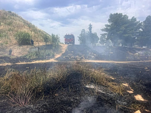 Firefighters Battle Blaze in Athens Suburb of Filothei (photos)