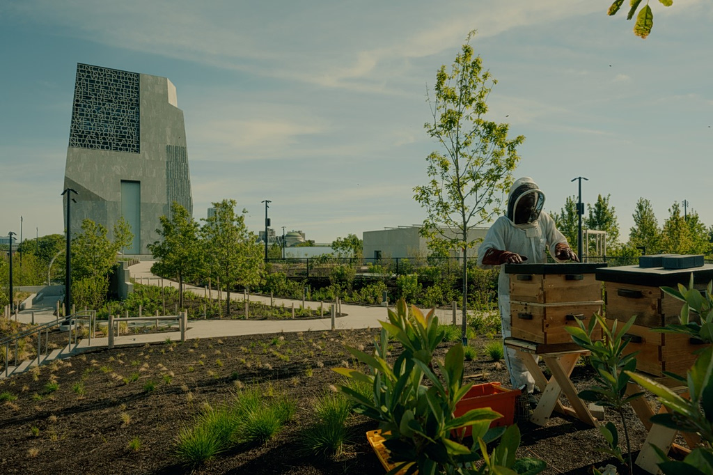 Inside the $850 Million Obama Presidential Center