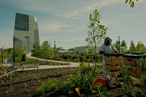 Inside the $850 Million Obama Presidential Center