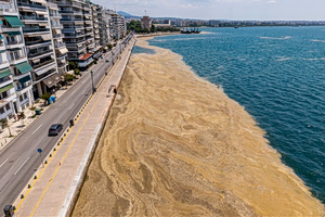 Unsightly Algal Bloom Spreads Across Thessaloniki Waterfront