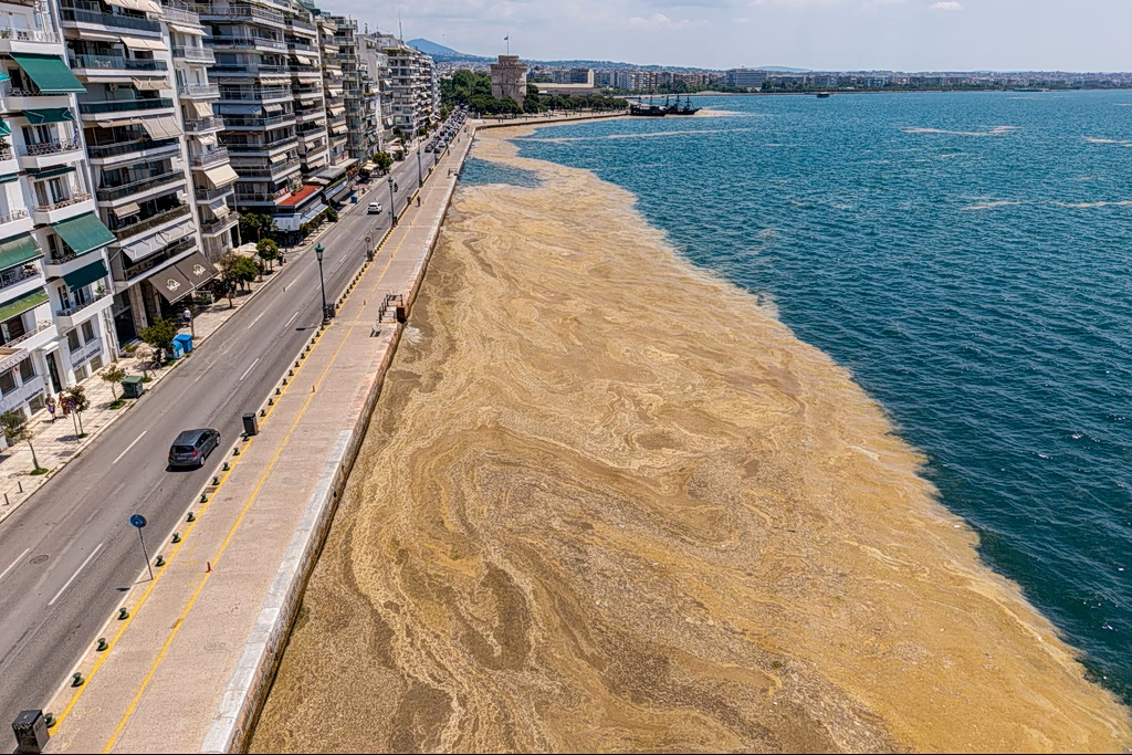 Unsightly Algal Bloom Spreads Across Thessaloniki Waterfront