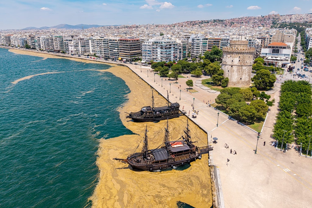 Algal Thessaloniki