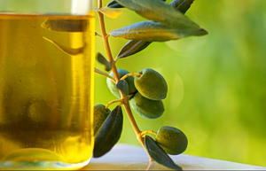 Olive Oil Under the Scientific Spotlight