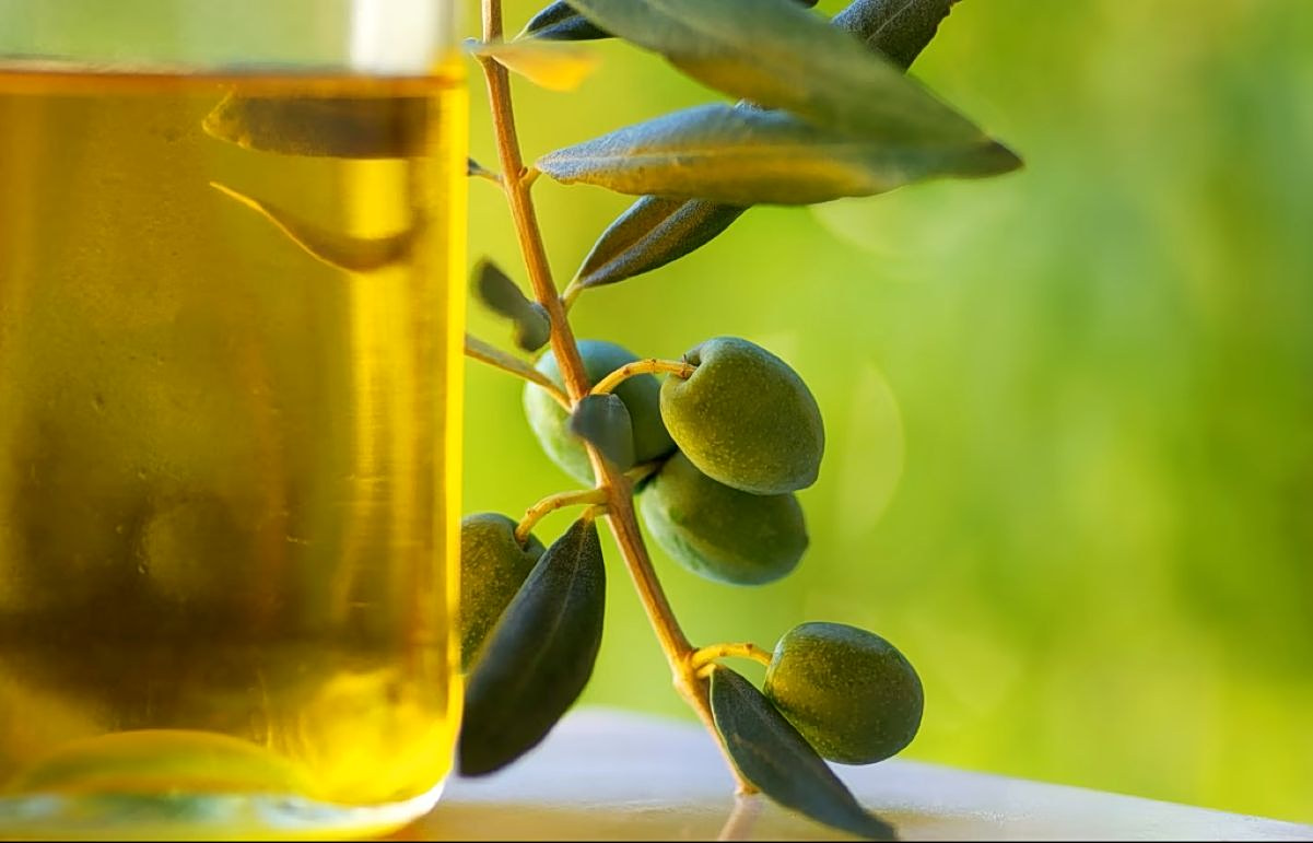 Olive Oil Under the Scientific Spotlight