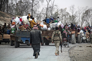 Global Displacement Falls, but Refugee Crises Persist