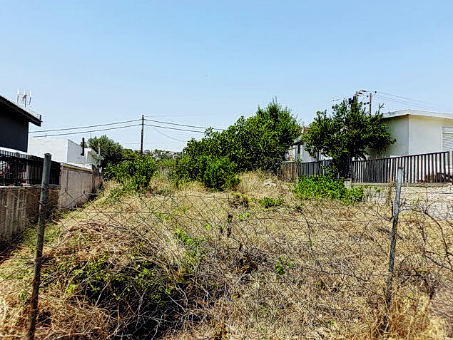 Lot Clearing Deadline Extended to June 22 in Greece