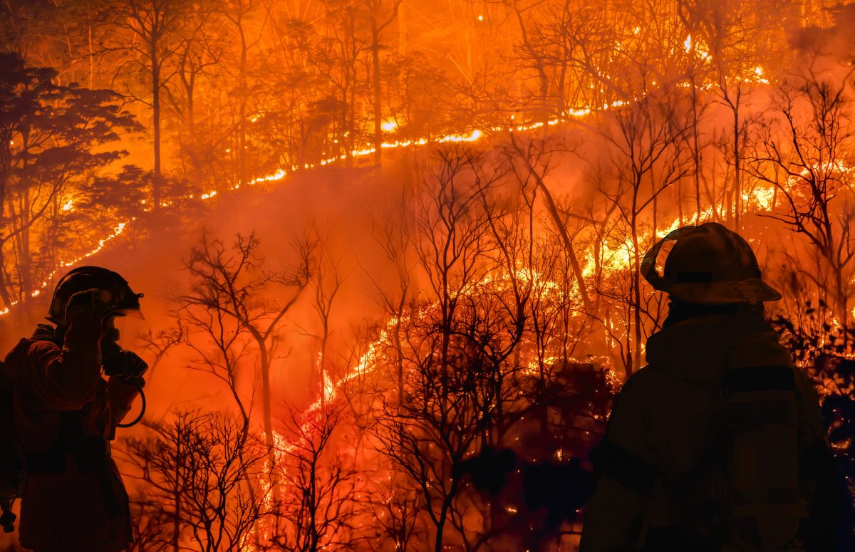 El Niño Officially Begins, NOAA Warns of Global Impacts