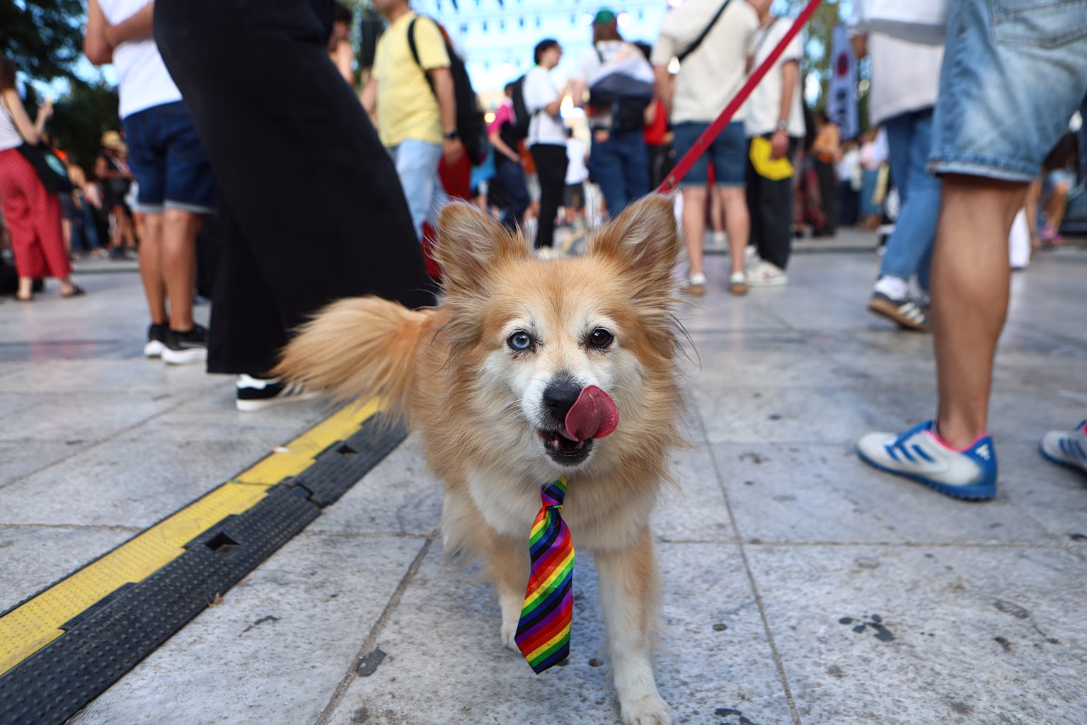 Athens Pride 2026: Pride March takes over Athens