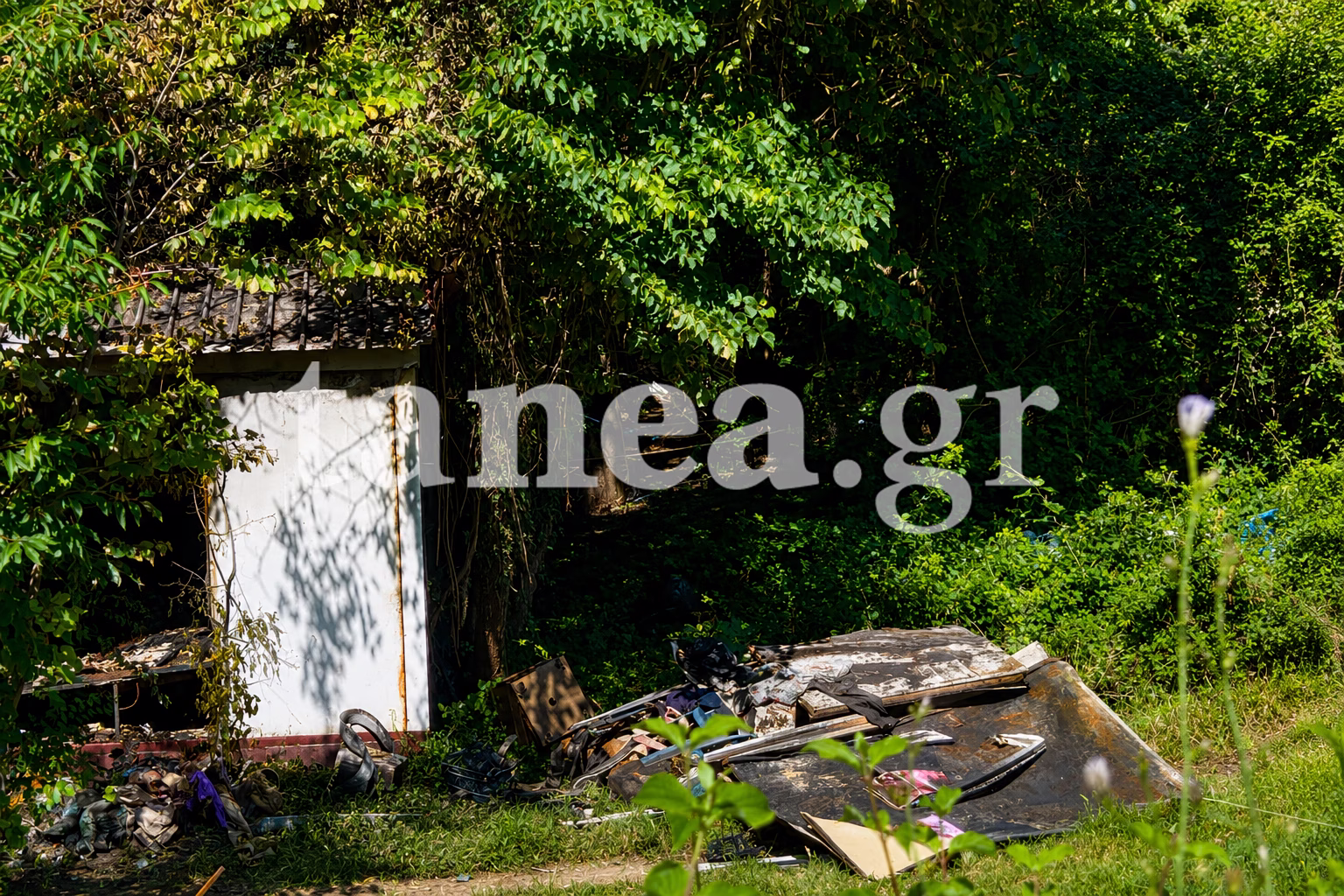 Konitsa Fire Tragedy: Warning Raised Before Four Siblings Died
