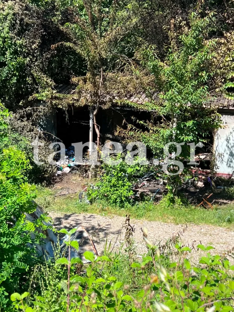 Konitsa Fire Tragedy: Warning Raised Before Four Siblings Died