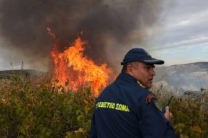 Wildfire Breaks Out in Fthiotida, Aircraft Deployed