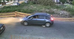 Video Sparks Outrage After Driver Intentionally Runs Over Dog
