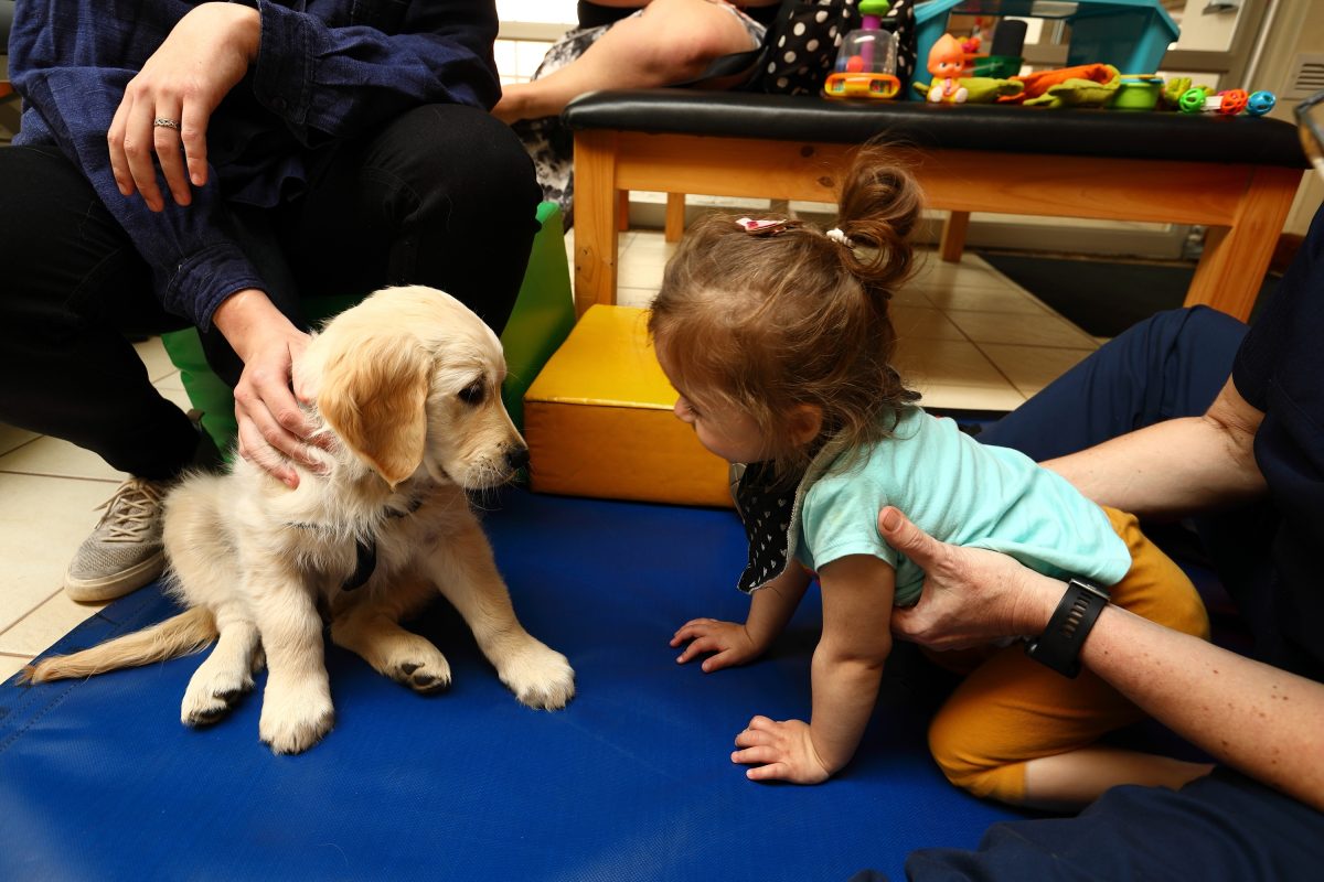 ‘Unlocking’ People Through the Help of Animals