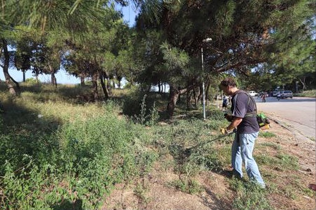 Greece Begins Checks on Overgrown Plots as Fines Take Effect
