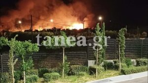 Wildfire Breaks Out Near Keratea as Firefighters Battle Strong Winds
