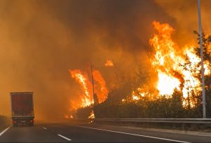 Wildfire Near Major Hwy Triggers Massive Firefighting Response (Vid)