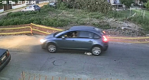 Driver Denies Intentionally Killing Dog as Felony Probe Continues (Vid)