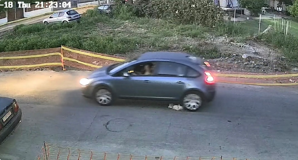 Driver Denies Intentionally Killing Dog as Felony Probe Continues (Vid)