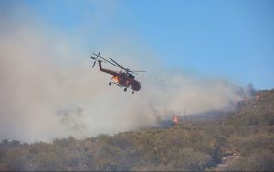 High Wildfire Risk Issued for Several Regions Across Greece