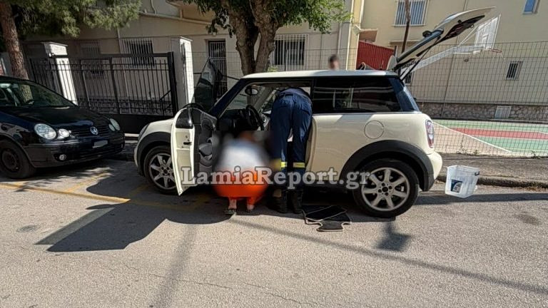 Snake Trapped Inside Car Sparks Firefighter Rescue in Lamia
