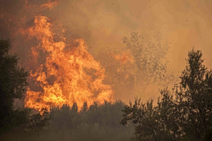 Video Apparently Shows Woman Deliberately Lighting Brush Fire (Vid)