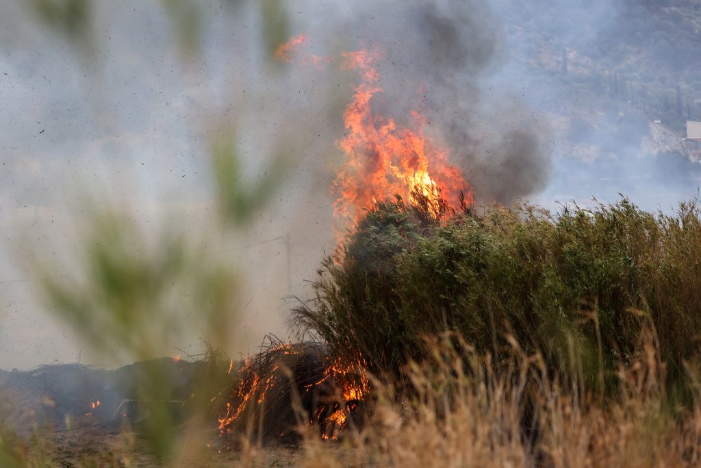 Greece Faces Rising Wildfire Threat Amid Negligence