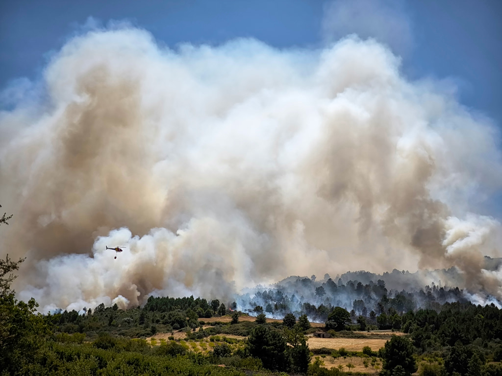 Portugal Wildfires: Four Injured Amid Extreme Heat
