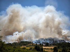 Portugal Wildfires: Four Injured Amid Extreme Heat