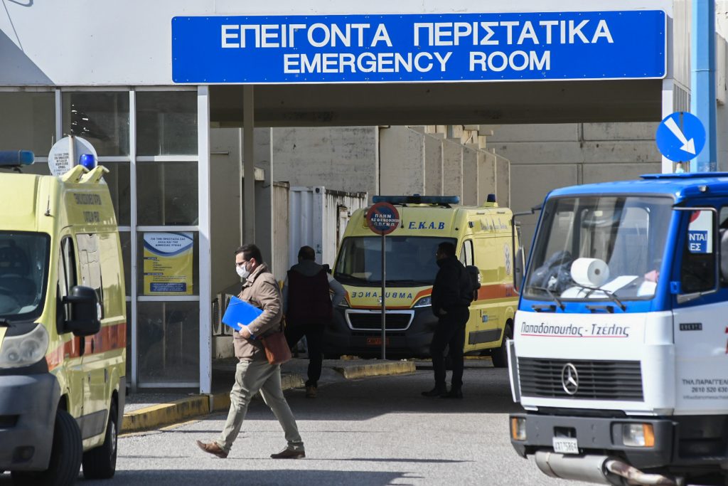 Snake Bite in Patras City Center Sparks Panic