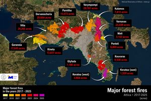 Nearly 40% of Attica’s Forests Burned in Nine Years