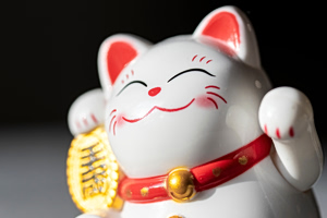 One Day Only Cat Ceramic Painting Workshop In Athens